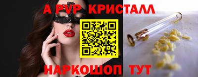 стафф Донецк