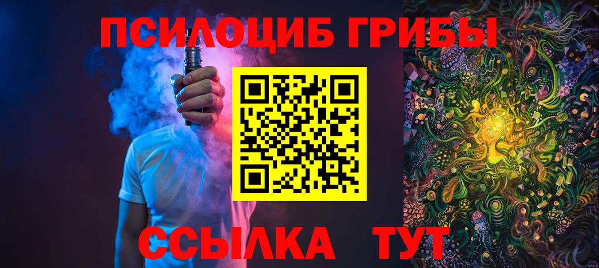 Галлюциногенные грибы мицелий  Псилоцибиновые грибы GOLDEN TEACHER  Вход с VPN  магазин продажи   Мурманск 
